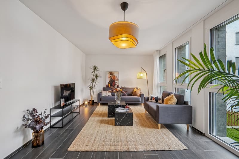 open layout, modern style, beige rug, modern couches, coffee tables, lamps, plants, large windows