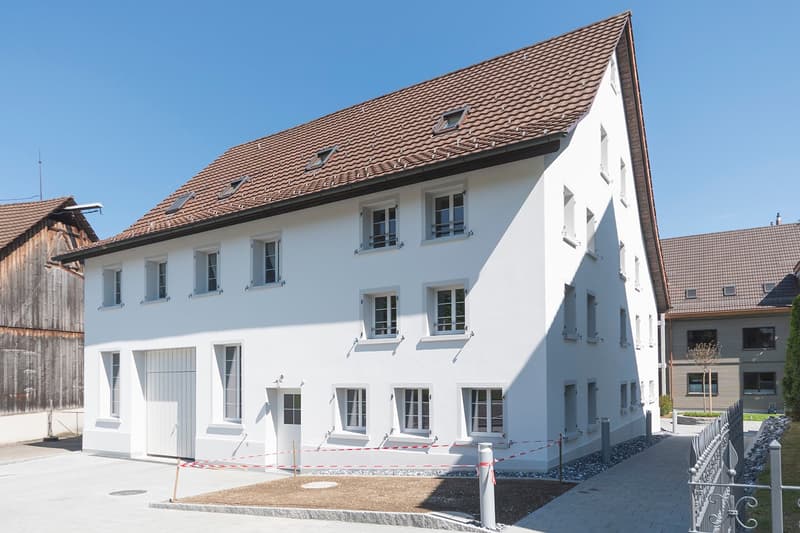 Modern white house with brown roof, garage, several windows, located in a village setting.