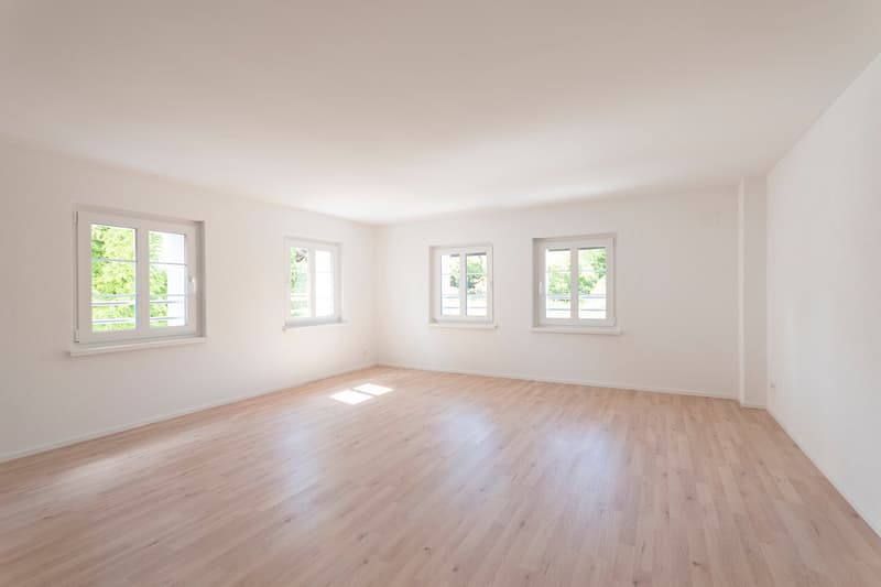 Charmant appartement 2.5 pièces à Volketswil (4)
