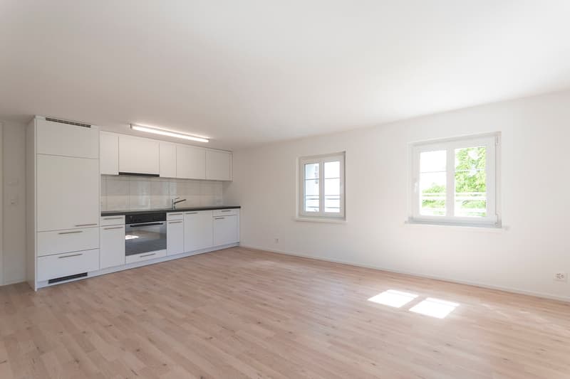 An empty, modern kitchen with white cabinetry, wooden floors, white walls, and two windows with white frames