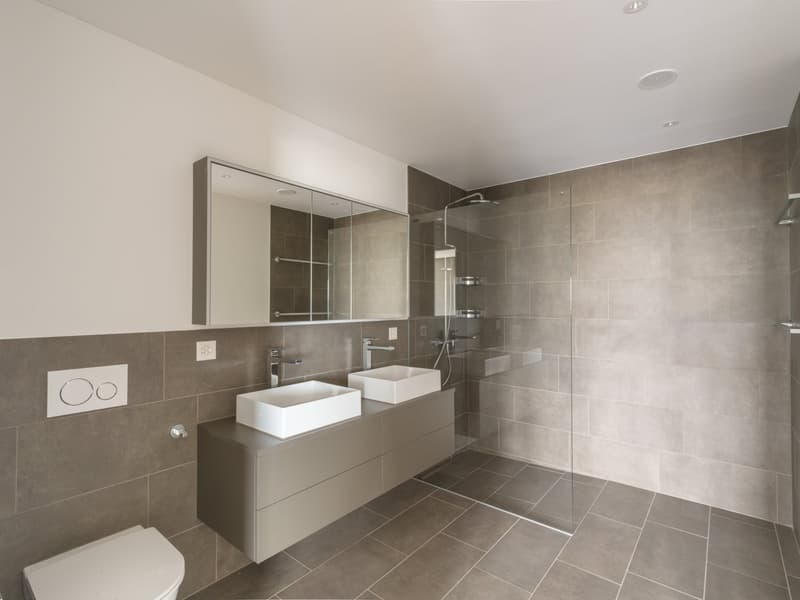 Modern bathroom with glass shower, two sinks, mirrored cabinet, and a toilet.