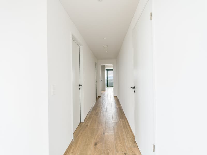 wide corridor, wooden flooring, white walls, glass window, metal handles