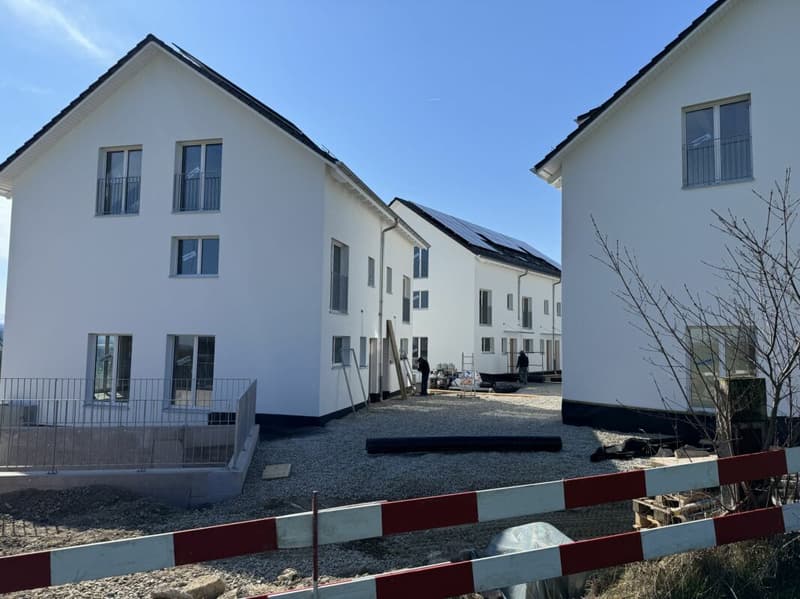 Alpenblick Wetzikon TG (3)