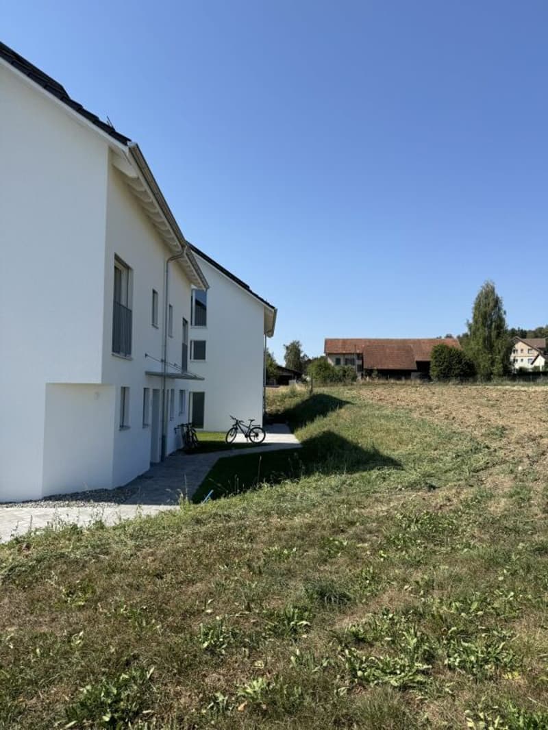 Alpenblick Wetzikon TG (5)