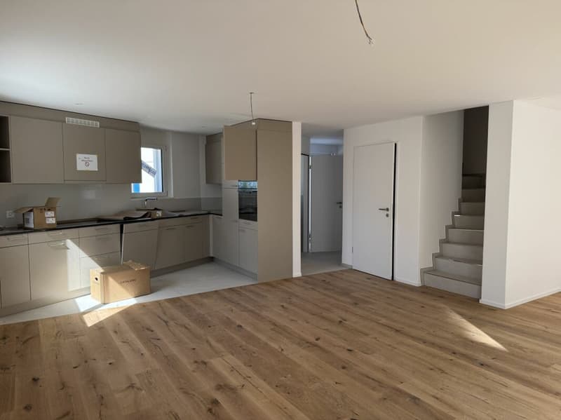 Neu-Modern-Bezugsbereit (5)