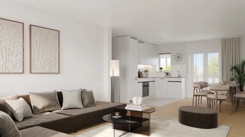 Frauenfelderstrasse 24 - Küche und Wohnzimmer zusammen
