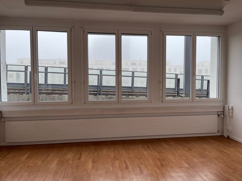 empty room, large windows, wooden floor, white walls, radiators, metal railings outside