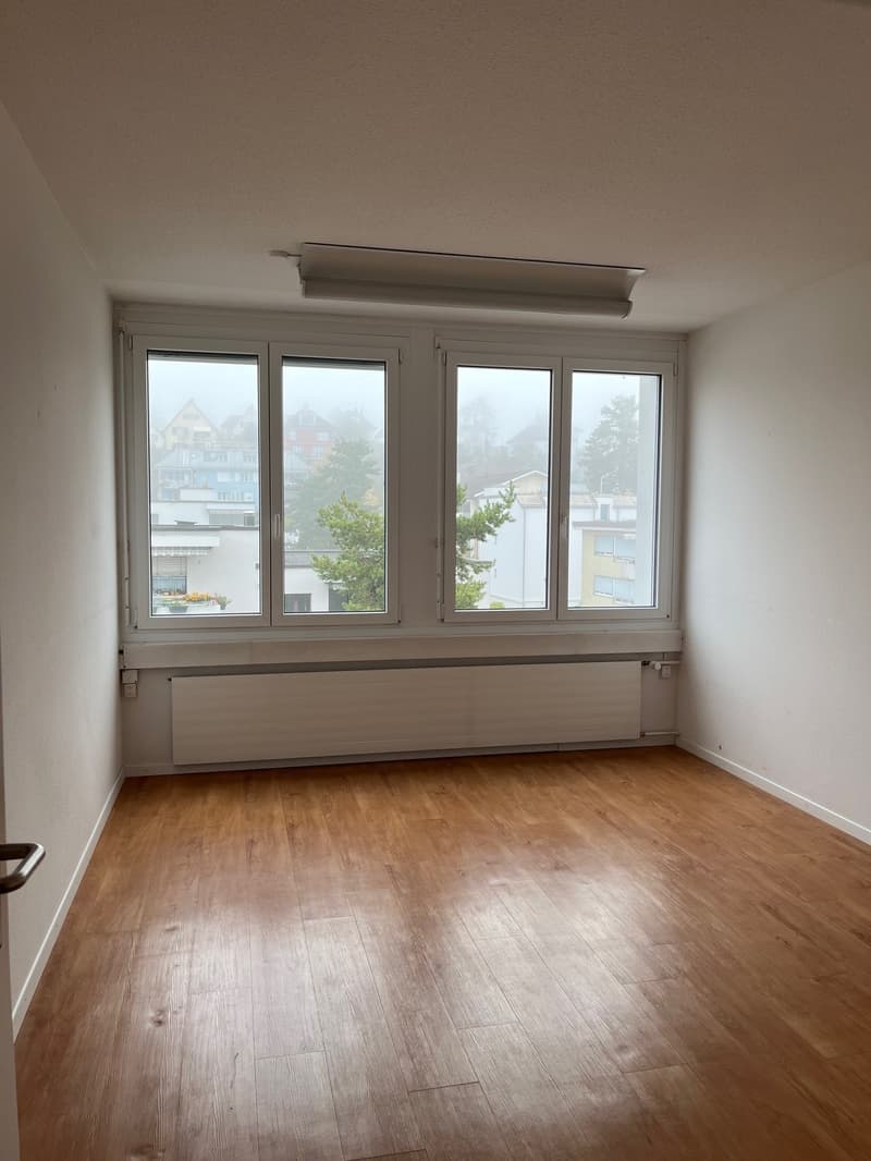 empty room, wooden floor, white walls, large windows, white radiator, ceiling light