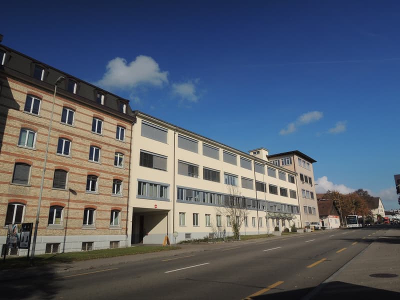 Helle Bürofläche in Wangen-Brüttisellen zu vermieten (12)