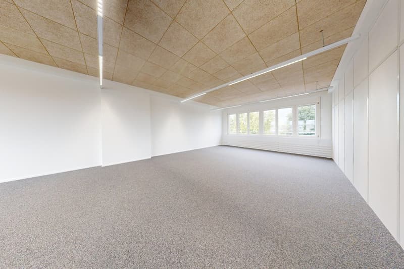 Helle Bürofläche in Wangen-Brüttisellen zu vermieten (3)