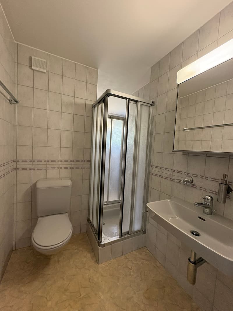 Renovierte helle 4.5-Zimmer-Dachgeschosswohnung mit Balkon in Bassersdorf (15)