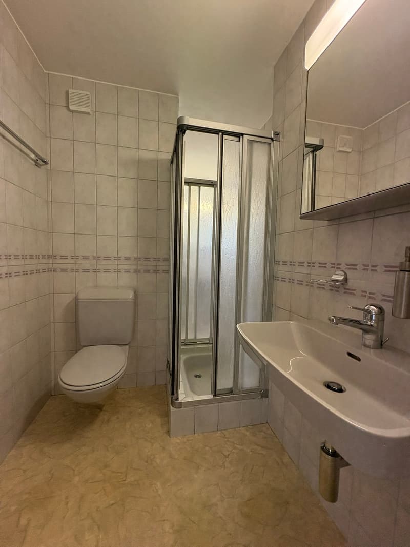 Renovierte helle 4.5-Zimmer-Dachgeschosswohnung mit Balkon in Bassersdorf (7)