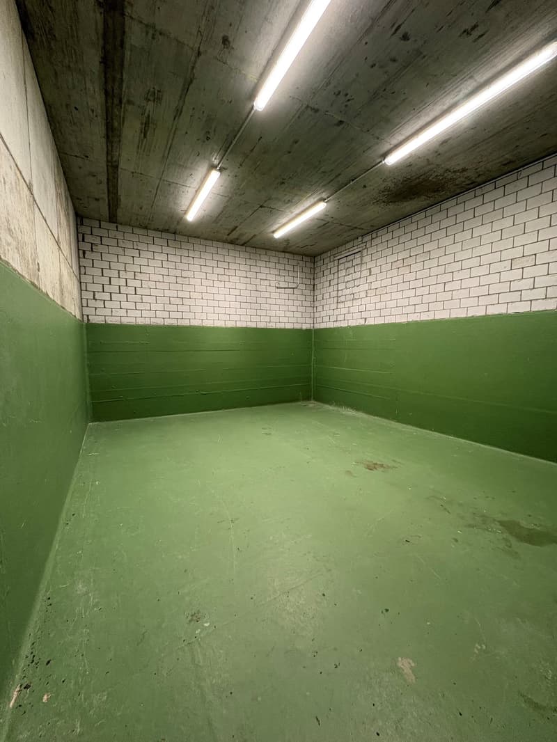 Vielseitig nutzbarer Hobby-, Bastel- oder Lagerraum mit 33 m² (1)