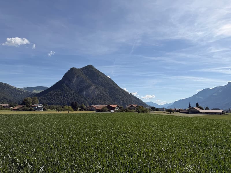 Schöne Attikawohnung mitten im Grünen (4)