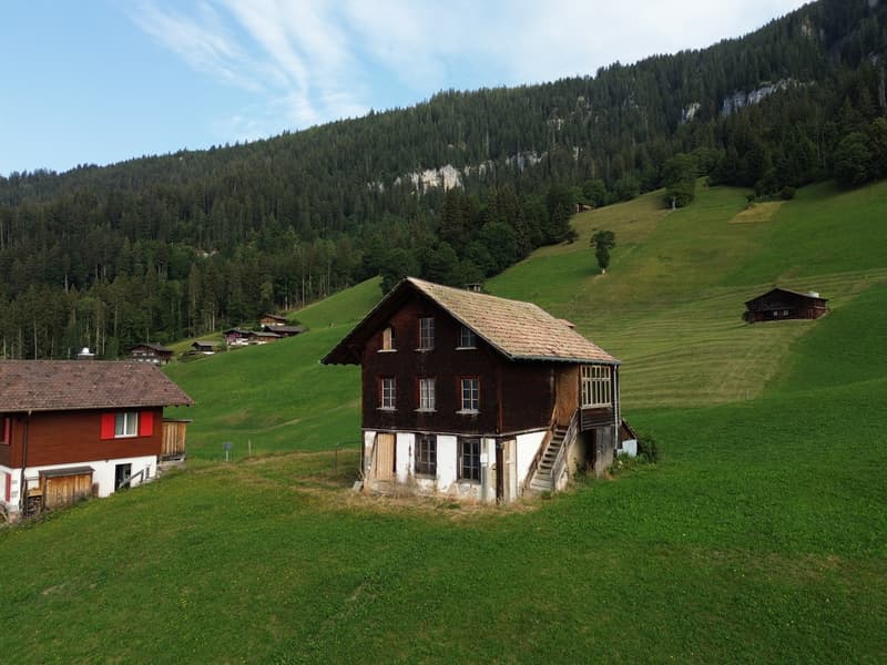 Baugrundstück mit grandioser Bergsicht (2)