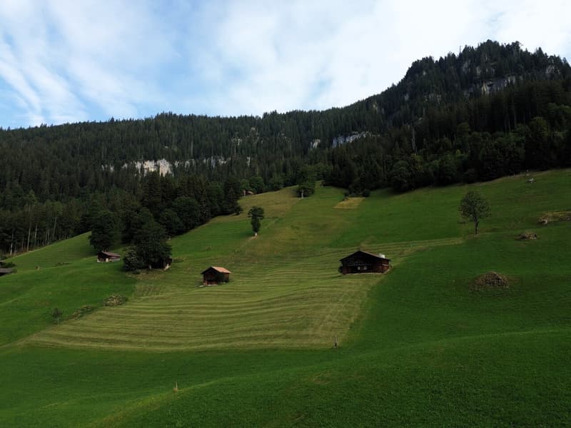 Baugrundstück mit grandioser Bergsicht (7)