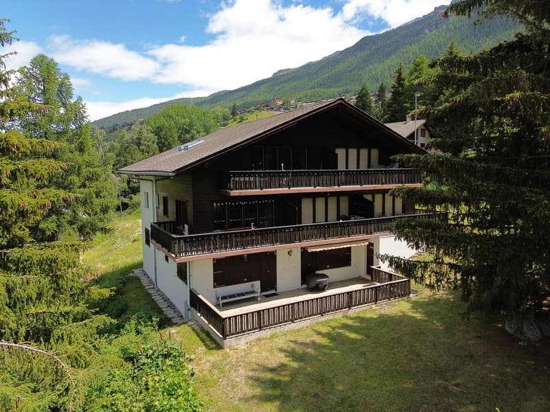 Heimelige Dachwohnung mit schönem Bergblick (2)