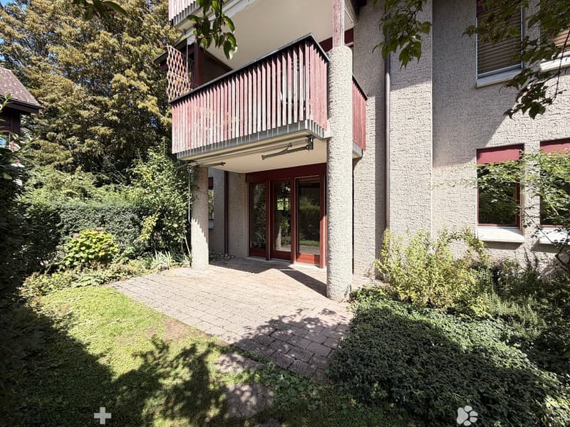 Wohnen im Park - sonnige 4.5 Zimmerwohnung im Erdgeschoss (5)