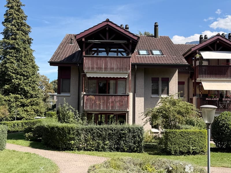 Wohnen im Park - sonnige 4.5 Zimmerwohnung im Erdgeschoss (2)