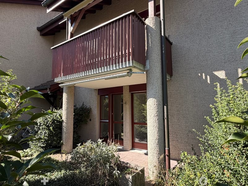 Wohnen im Park - sonnige 4.5 Zimmerwohnung im Erdgeschoss (6)