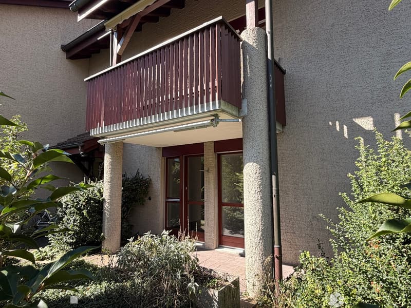 Wohnen im Park - sonnige 4.5 Zimmerwohnung im Erdgeschoss (6)