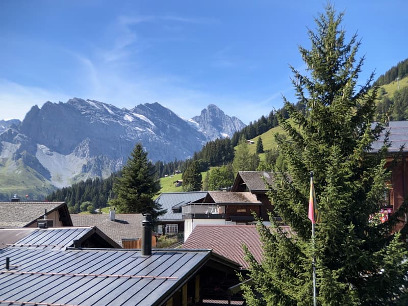 Einmalige Gelegenheit - saniertes Wohnhaus mit 2 Wohnungen (4)
