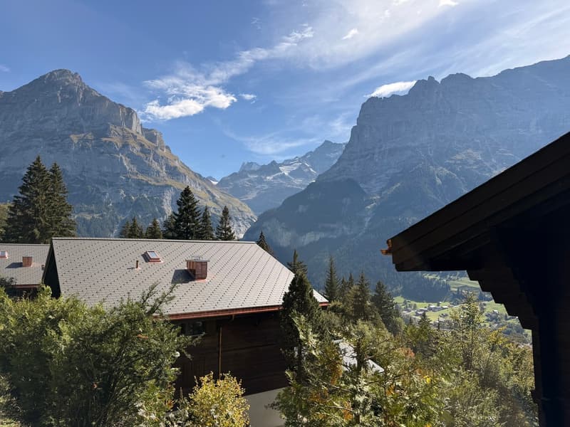 Heimelige 2½-Zimmer-Wohnung mit herrlicher Bergsicht in Grindelwald (3)