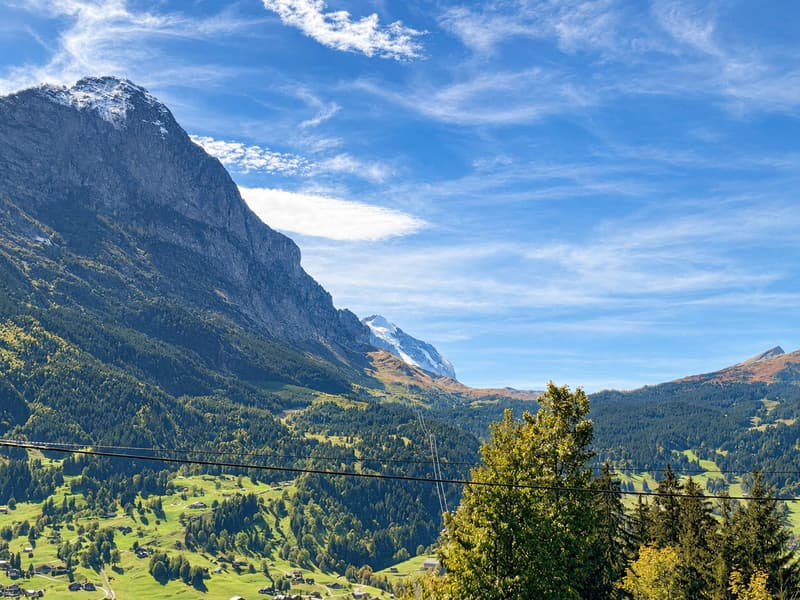 Aussicht Richtung Kleine Scheidegg / Männlichen