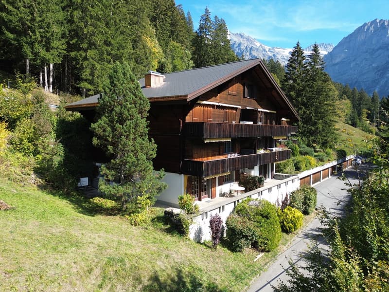 Heimelige 2½-Zimmer-Wohnung mit herrlicher Bergsicht in Grindelwald (1)