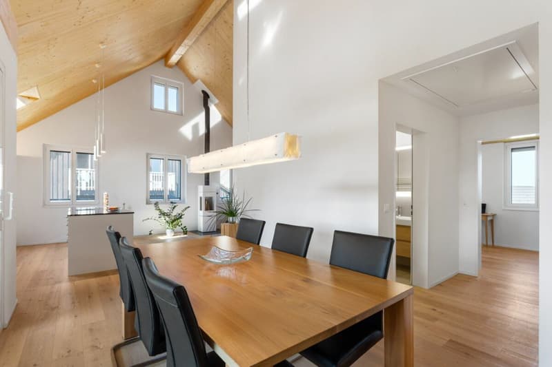 Grosszügige und moderne Dachgeschosswohnung (6)