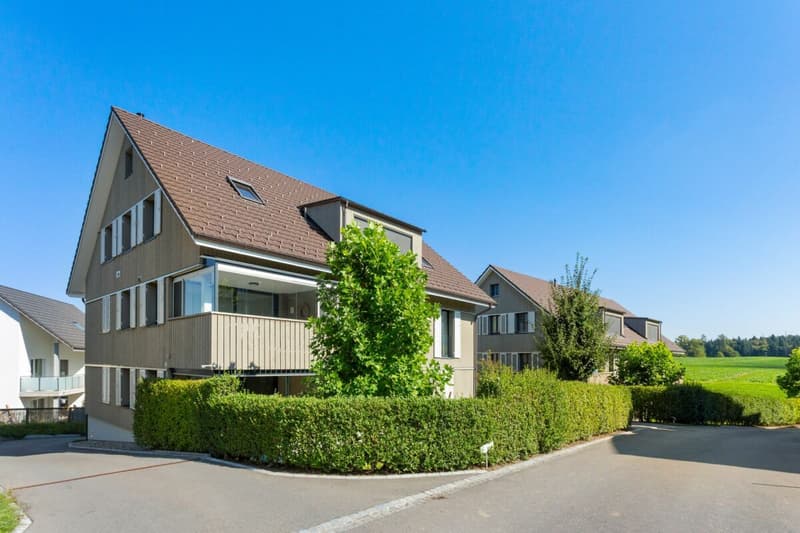 Grosszügige und moderne Dachgeschosswohnung (12)