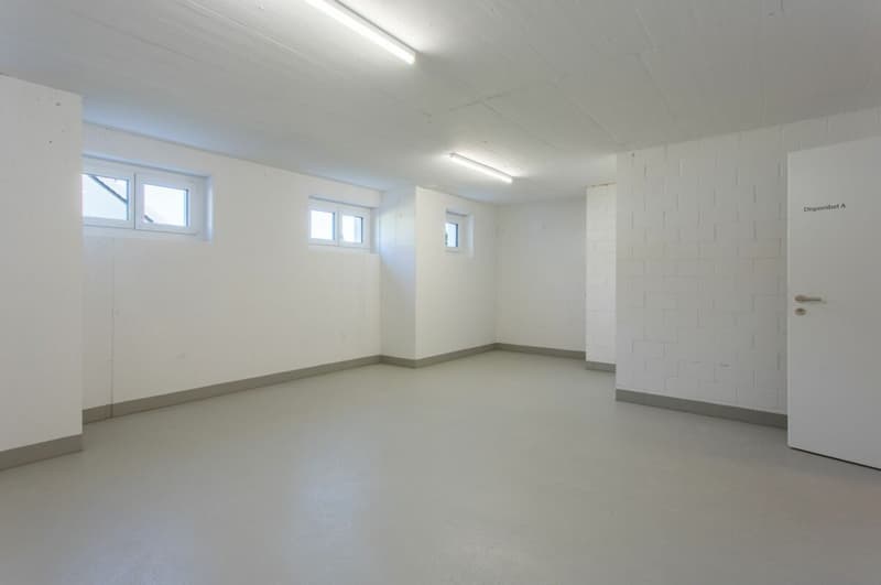 Grosszügige und moderne Dachgeschosswohnung (13)