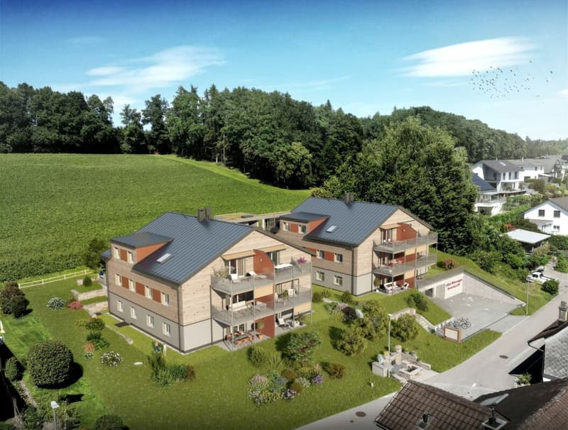 Stilvoller und nachhaltiger Neubau an sonniger Lage (3)