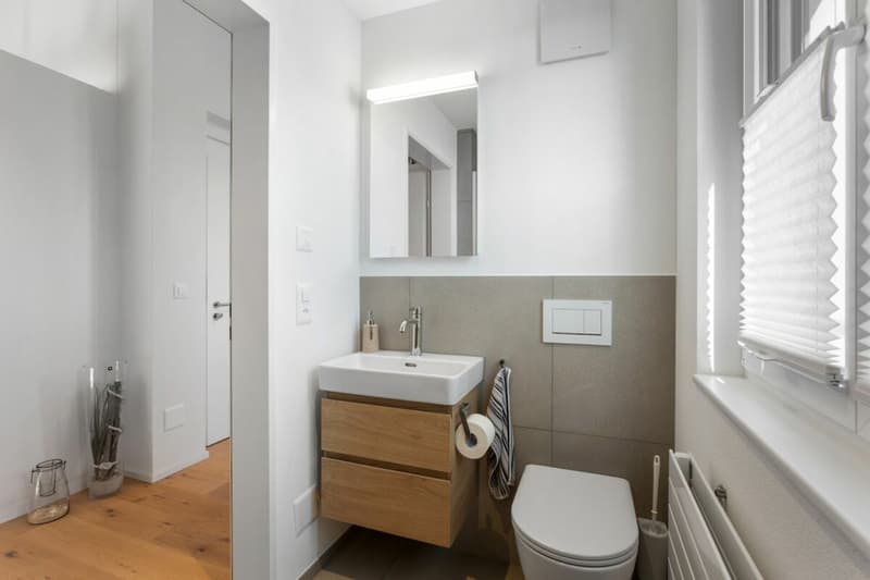 Grosszügige und moderne Dachgeschosswohnung (10)