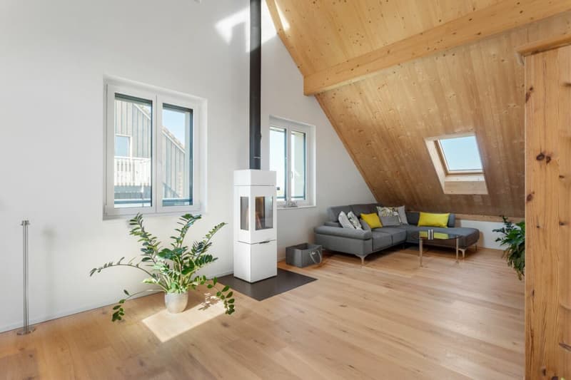 Grosszügige und moderne Dachgeschosswohnung (3)
