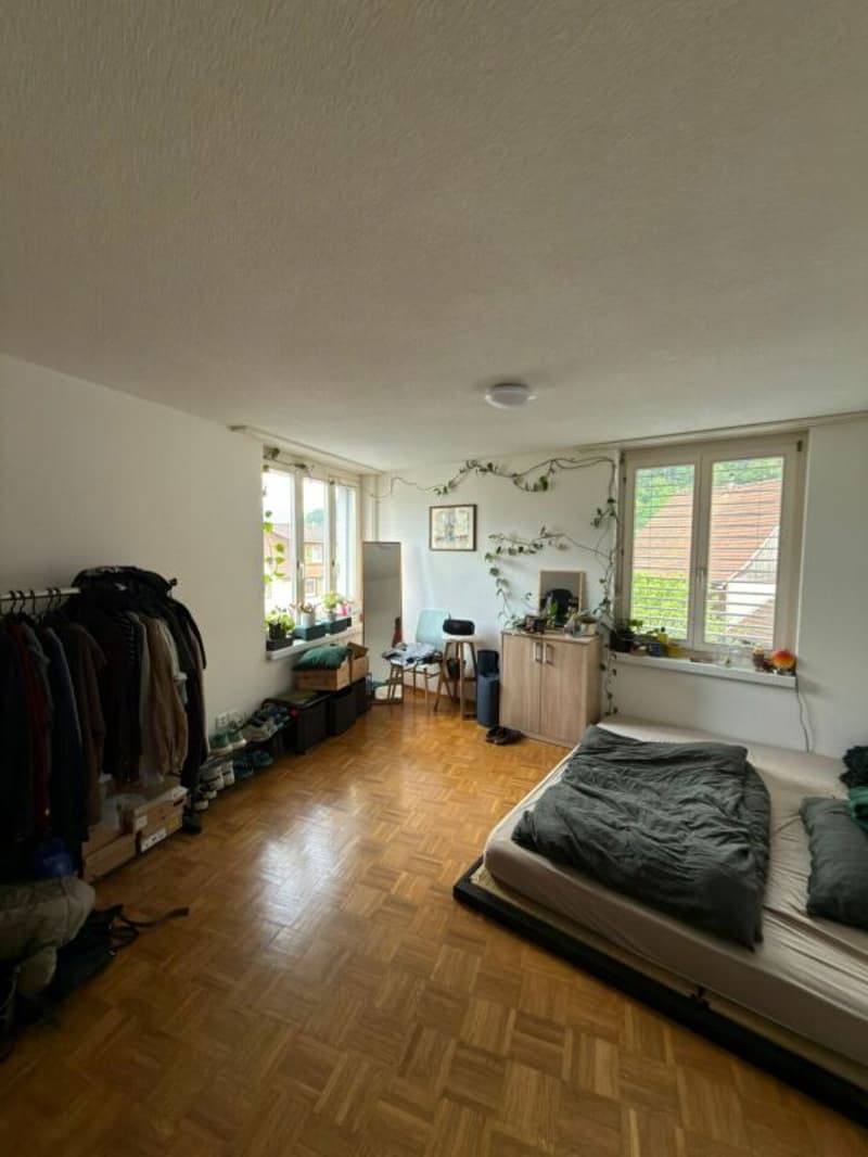 grosszügige 4.5-Zimmer-Wohnung mit Balkon im Zentrum von Vilters (6)