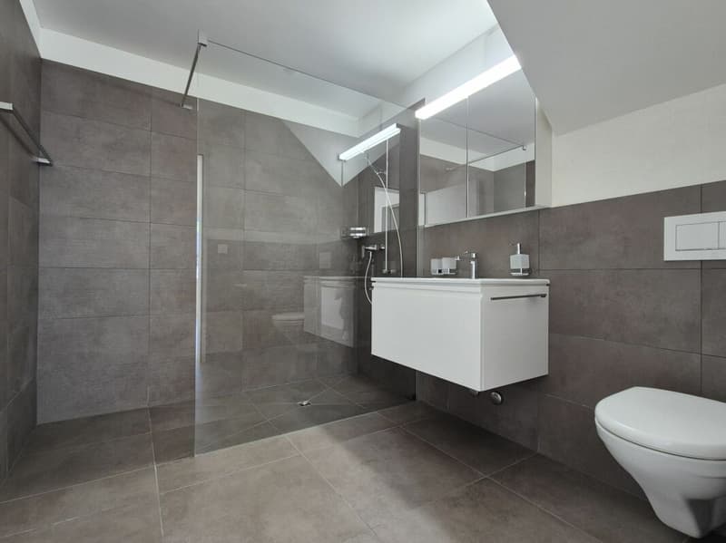 Nasszelle mit Dusche