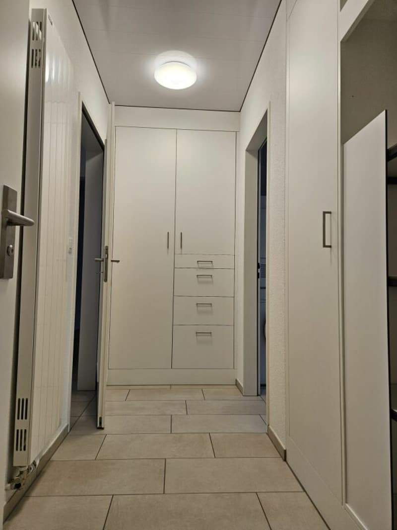 gepflegte 2.5 Zimmer-Erdgeschosswohnung im Zentrum von Flums (10)