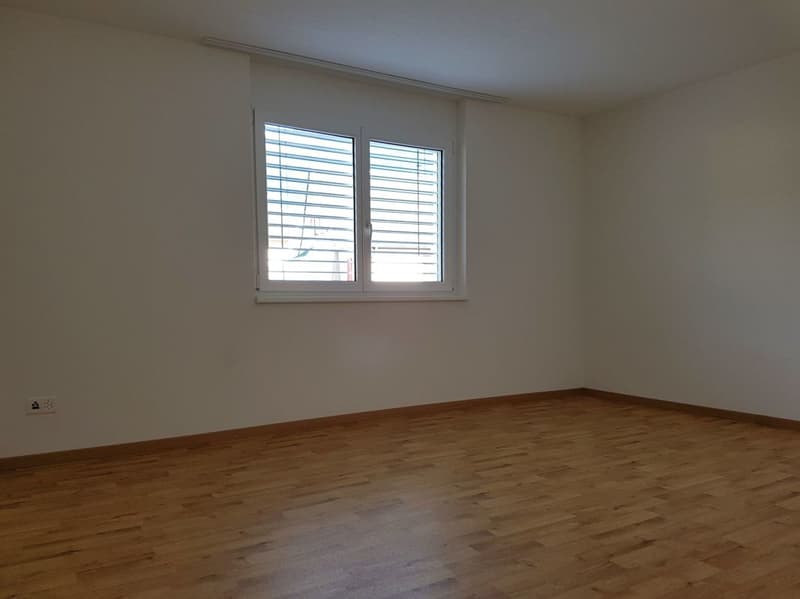 Zimmer
