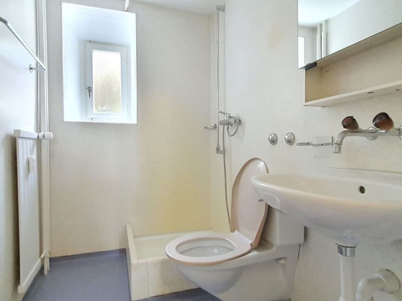 Nasszelle mit Dusche