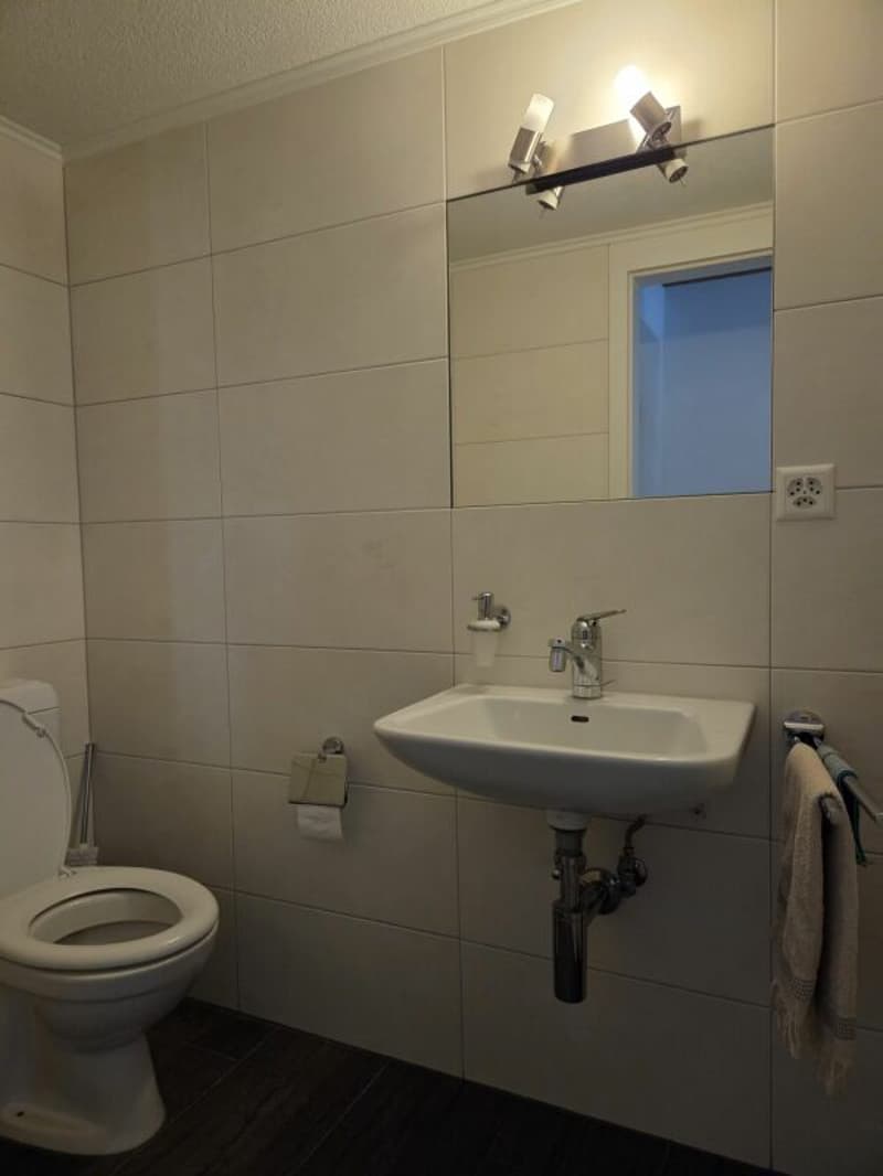grosszügige 4.5 Zimmerwohnung an traumhafter Lage (8)