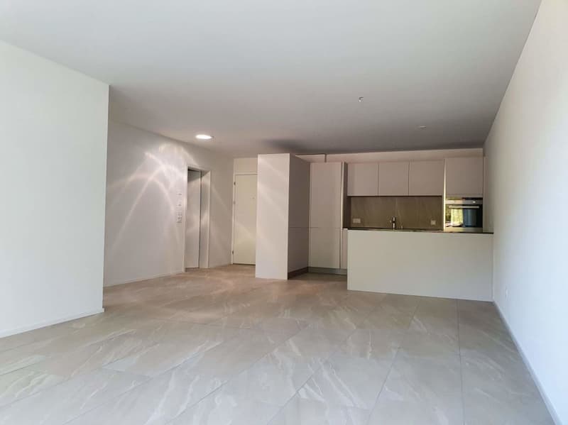 neuwertige 2 1/2-Zimmer-Dachwohnung an sonniger Lage (3)