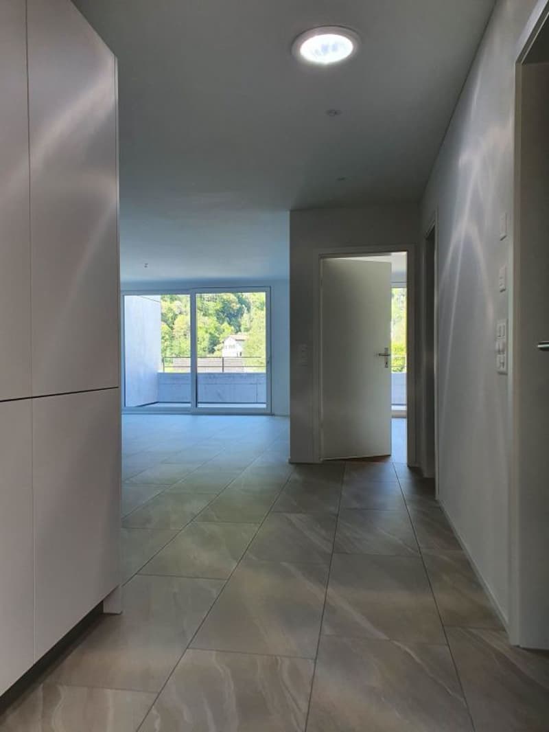 neuwertige 2 1/2-Zimmer-Dachwohnung an sonniger Lage (5)