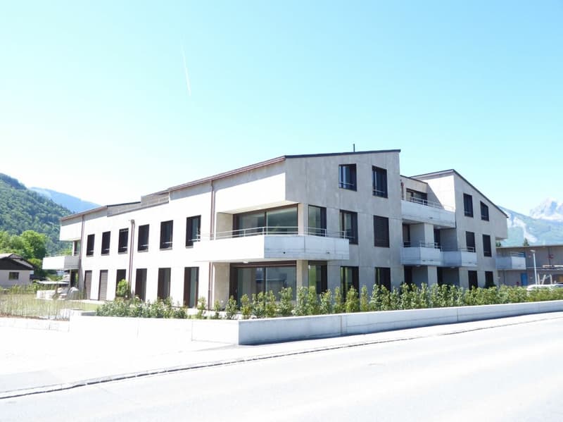 neuwertige 2 1/2-Zimmer-Dachwohnung an sonniger Lage (11)