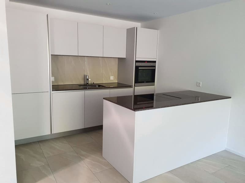 neuwertige 2 1/2-Zimmer-Dachwohnung an sonniger Lage (4)