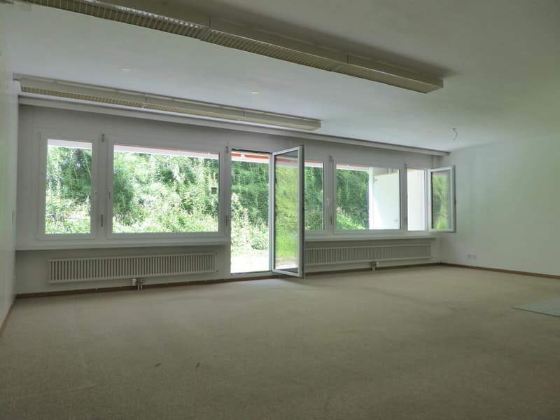 1.5-Zimmer-Studio-Ferienwohnung mit Gartensitzplatz und Tiefgaragenplatz (3)