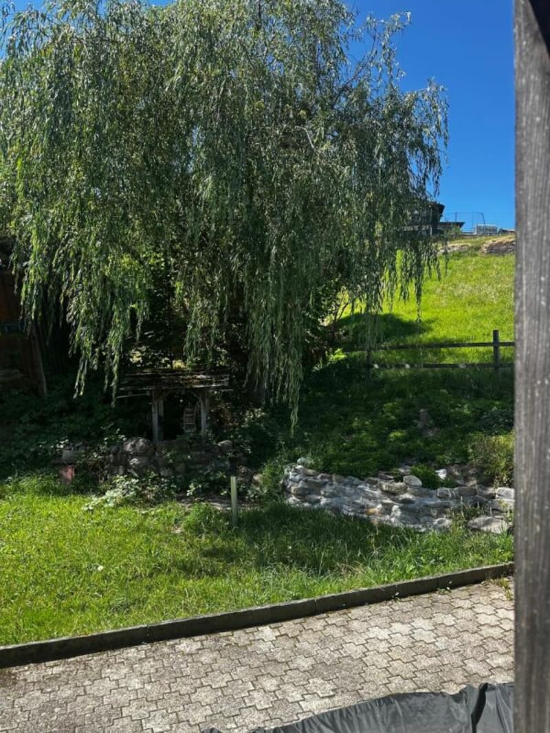 4 1/2-Zimmer-Wohnung an idyllischer Wohnlage im Grünen (9)