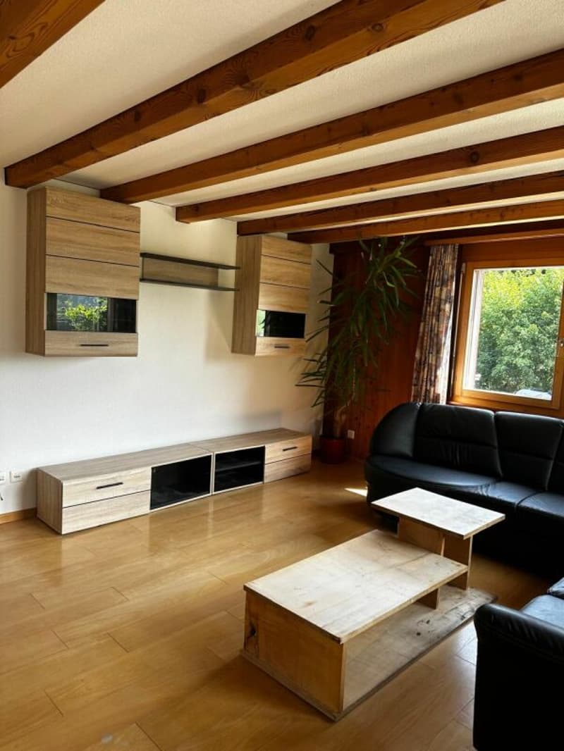 4 1/2-Zimmer-Wohnung an idyllischer Wohnlage im Grünen (8)