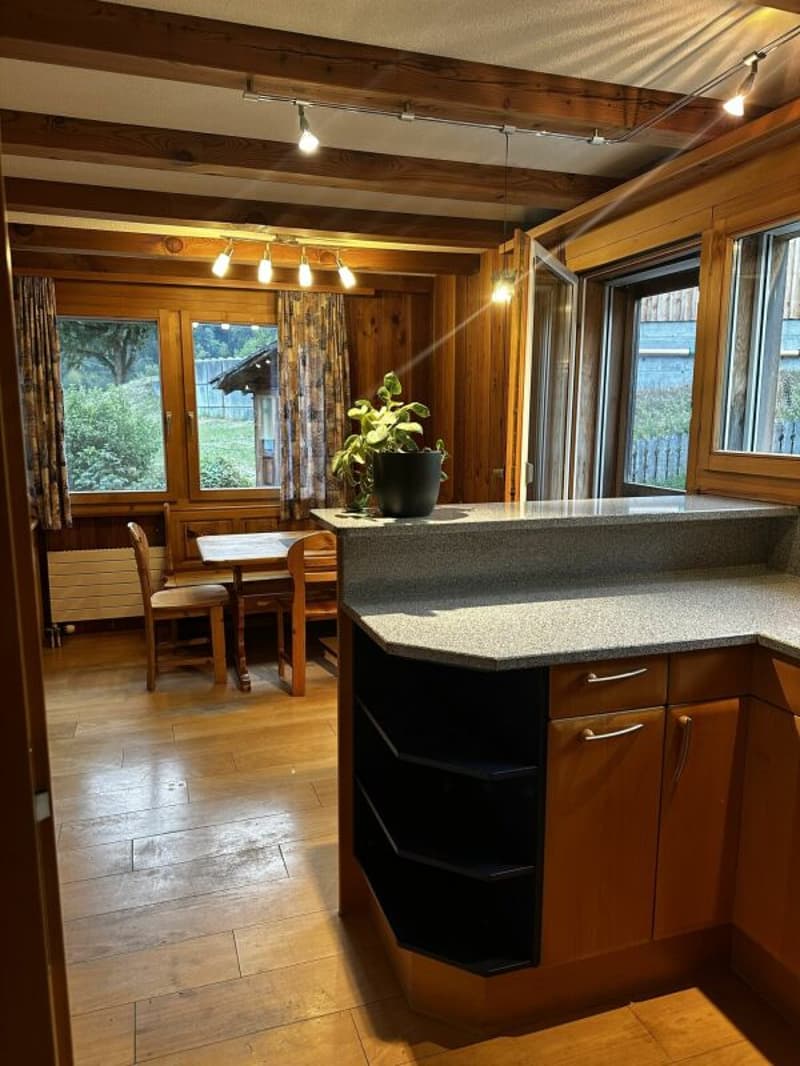 4 1/2-Zimmer-Wohnung an idyllischer Wohnlage im Grünen (5)