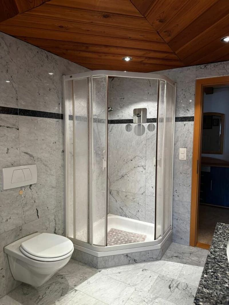 4 1/2-Zimmer-Wohnung an idyllischer Wohnlage im Grünen (15)
